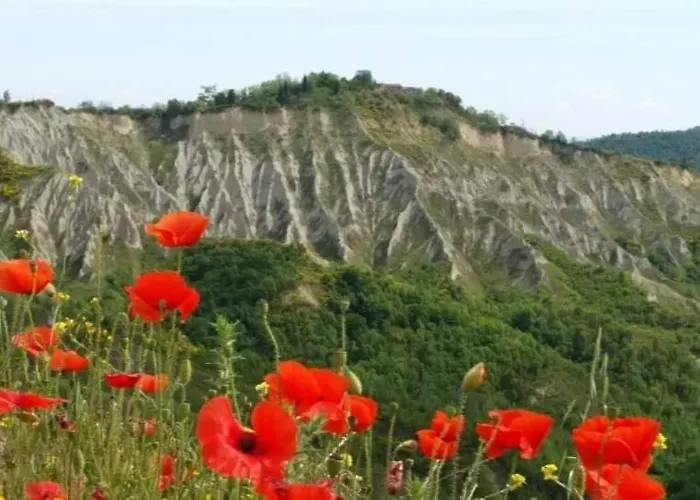 La Mimosa Апартаменты *