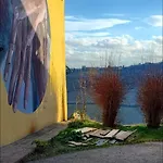La Mimosa *