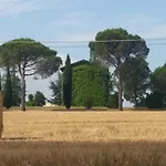 La Mimosa * Dozza