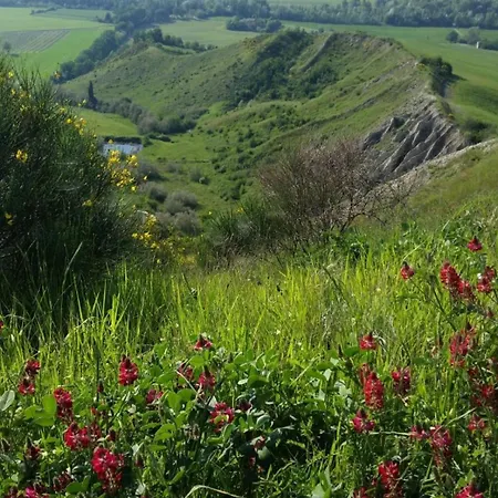 La Mimosa Apartamento *