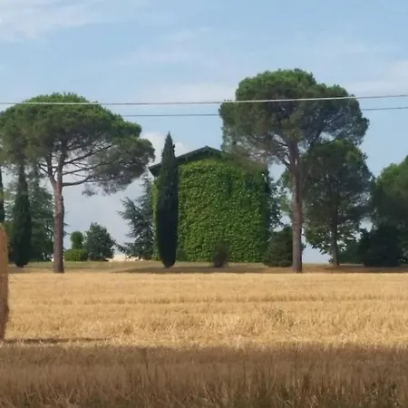 La Mimosa * Dozza