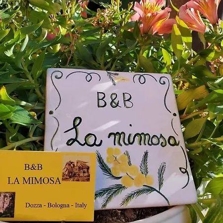 La Mimosa Dozza