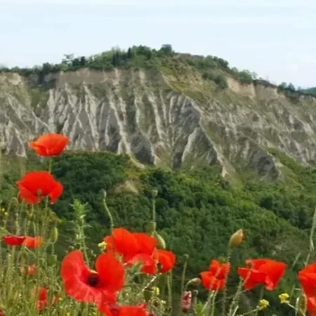 La Mimosa Apartamento *