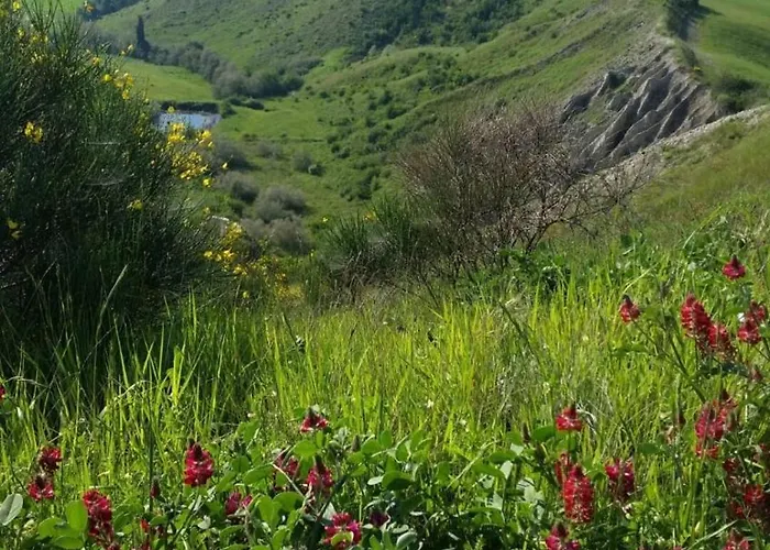 La Mimosa 아파트 *