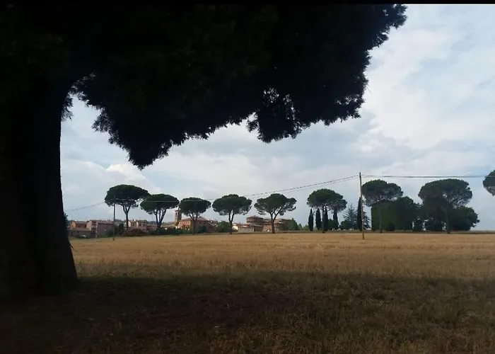 La Mimosa 아파트 도자