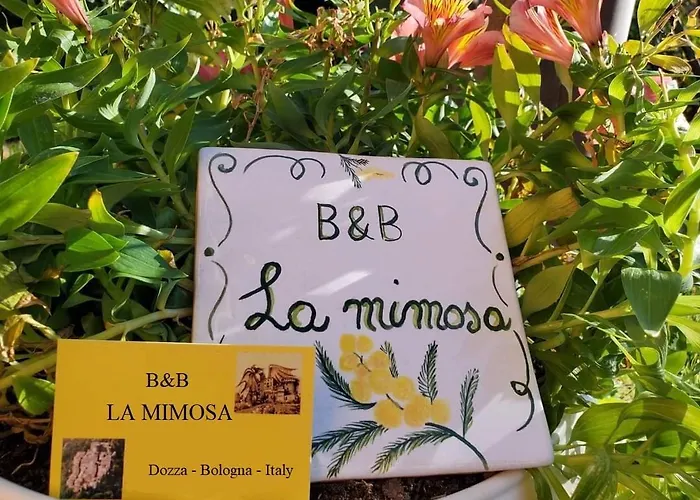 La Mimosa 도자